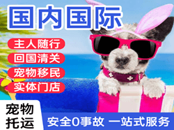 株洲芦淞机场空运国际宠物托运 【国